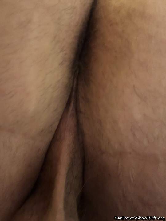 Adult image from CenFoxxo