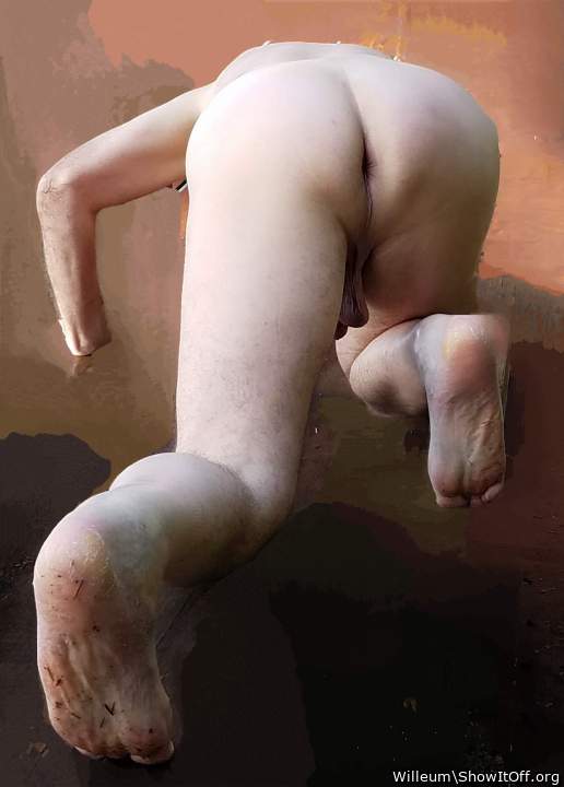 Adult image from Willeum
