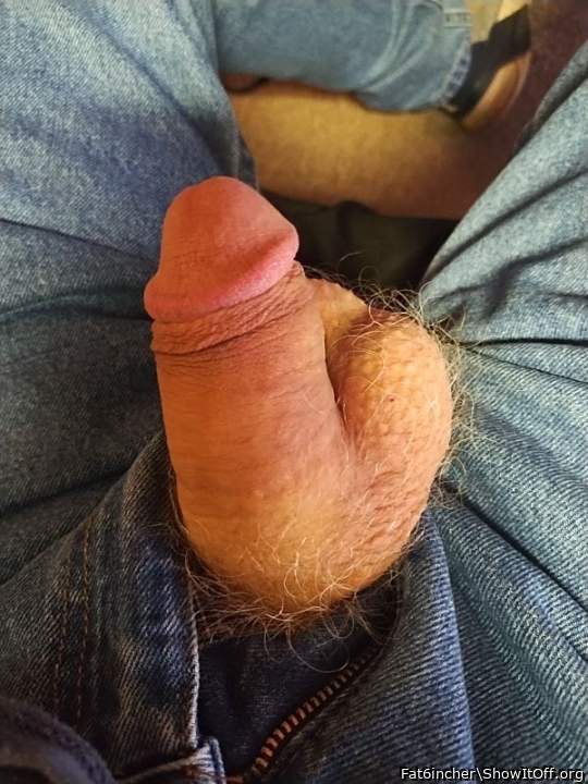 Adult image from Fat6incher