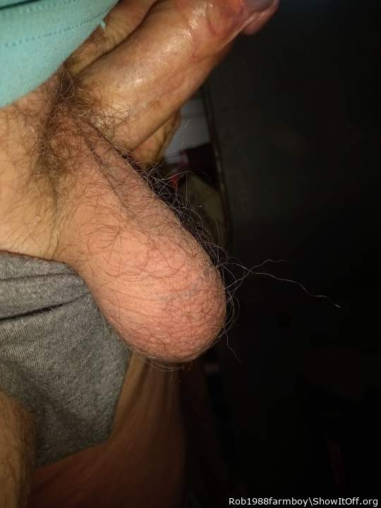 Adult image from Rob1988farmboy