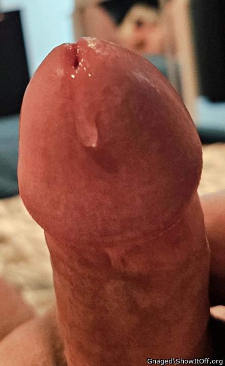 Oh yes I�ll lick it all up