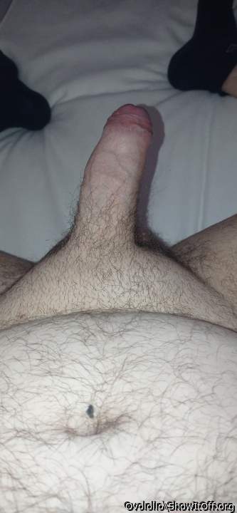 Adult image from Ovolollo