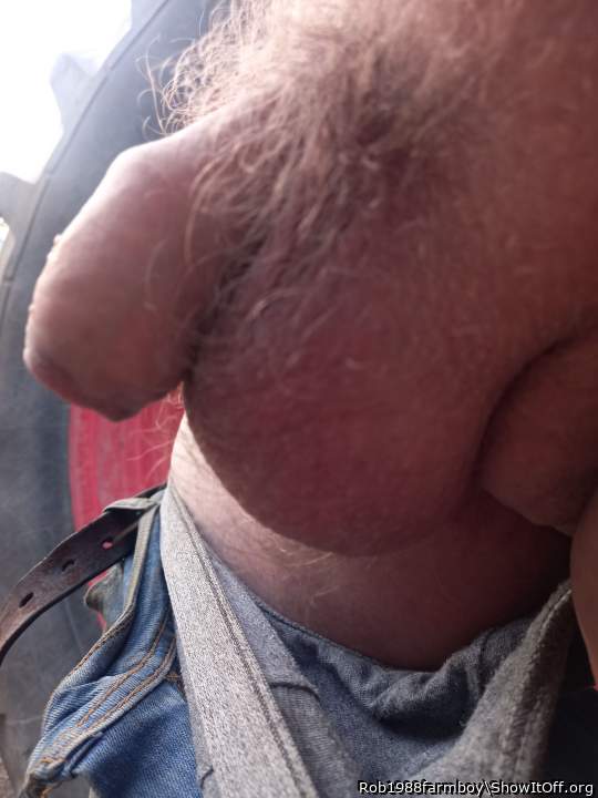 Adult image from Rob1988farmboy