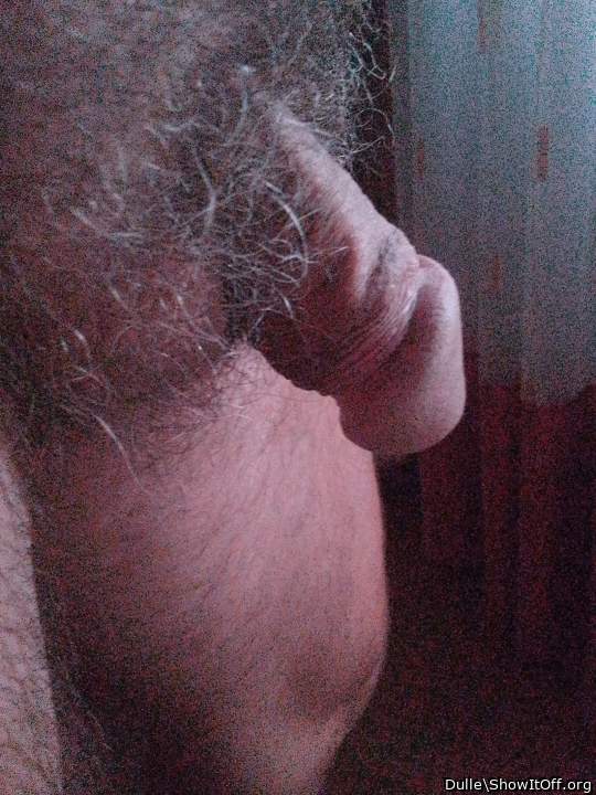 Adult image from Dulle