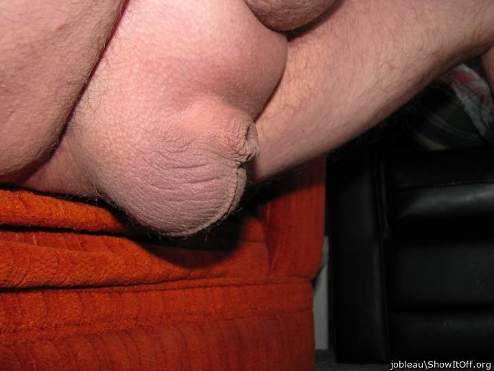 Adult image from jobleau