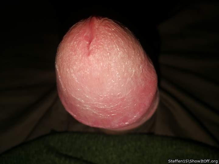 Adult image from Steffen15