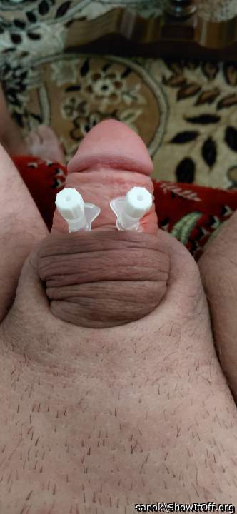 Adult image from sanok