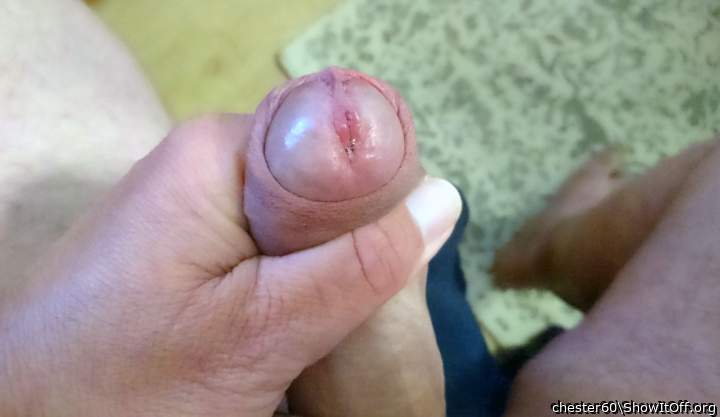 Adult image from chester60