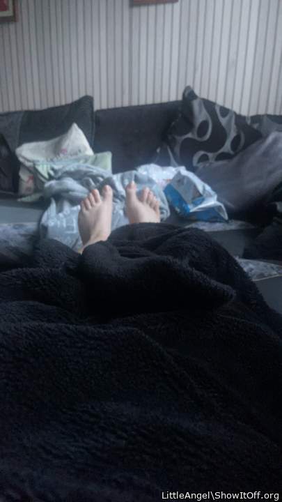 Adult image from LittleAngel