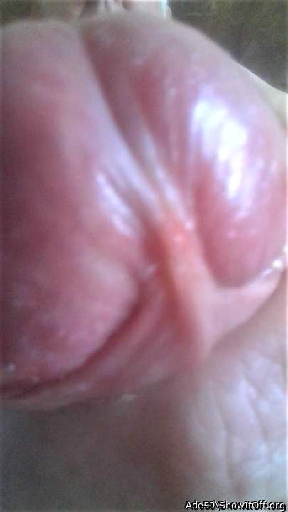 Adult image from Ade59