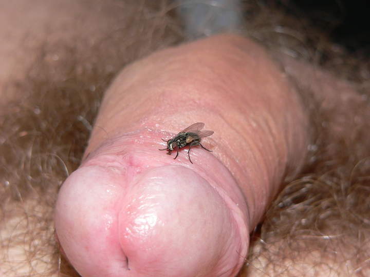 My dick with a fly!