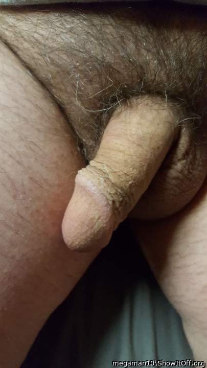 Adult image from megaman10