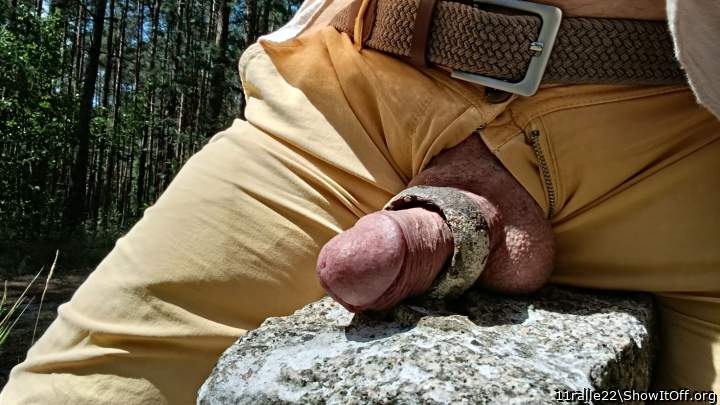 cockring in nature
