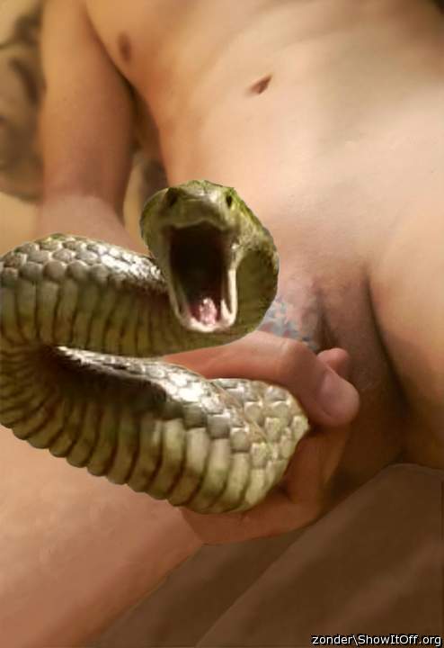 Photo of my snake