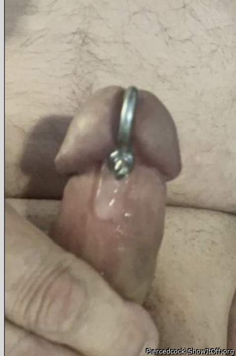 Adult image from Piercedcock