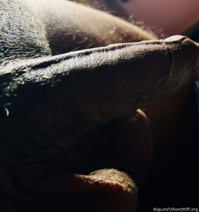 Adult image from BigLund