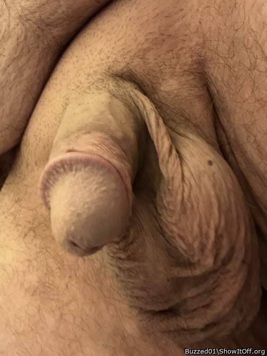 Nice head, shape and texture