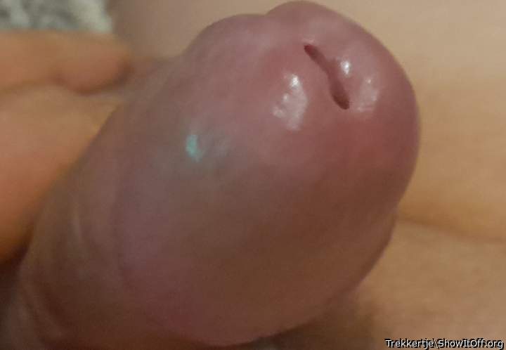 Adult image from Trekkertje