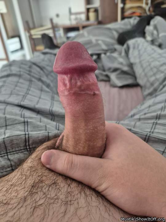 Morning wood need to be jerked off
