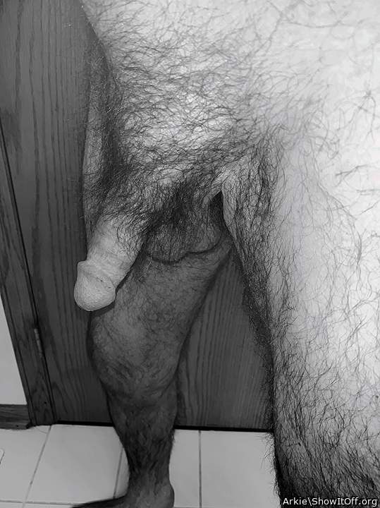 Adult image from Arkie