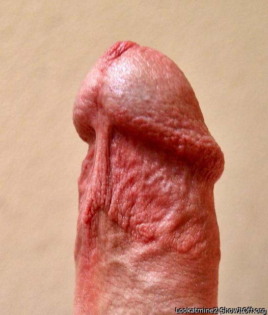 Frenulum Closeup