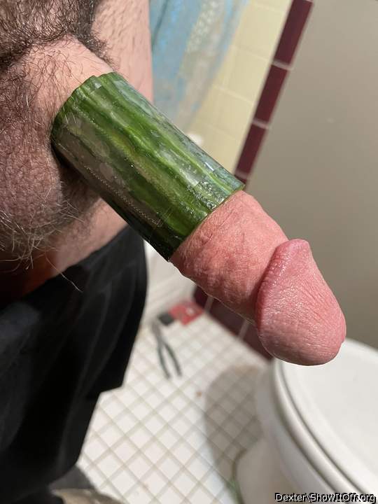 Cucumber cock