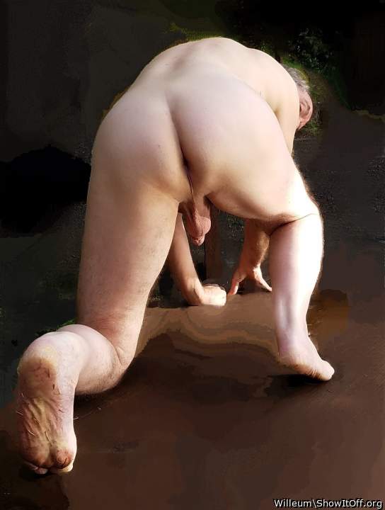 Adult image from Willeum