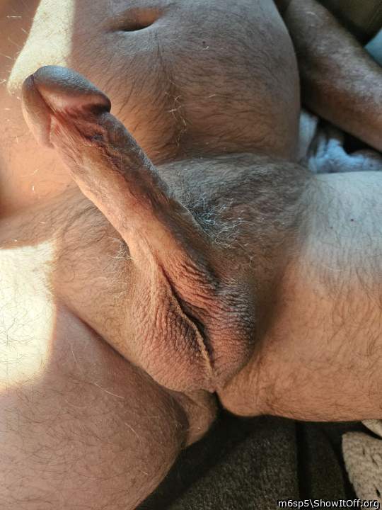 Adult image from m6sp5