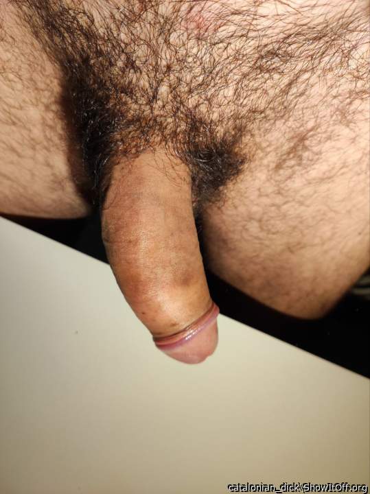 Adult image from catalonian_dick