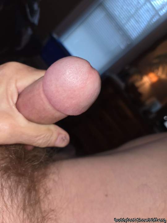 Adult image from Buddyfoot