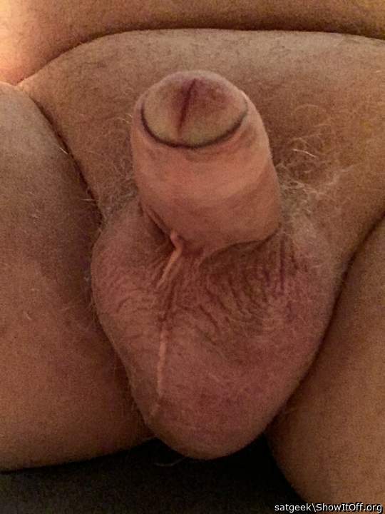 Fat guys have great looking dicks.