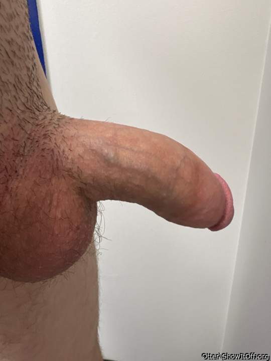 Adult image from Otter