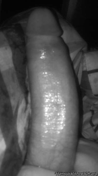 Adult image from adamscock