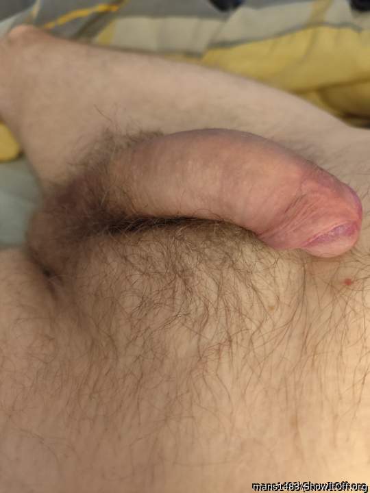 Adult image from mans1483