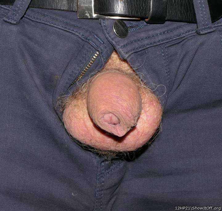 Adult image from 12HP21