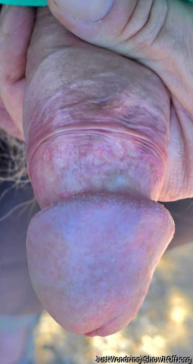 Adult image from JustWondring