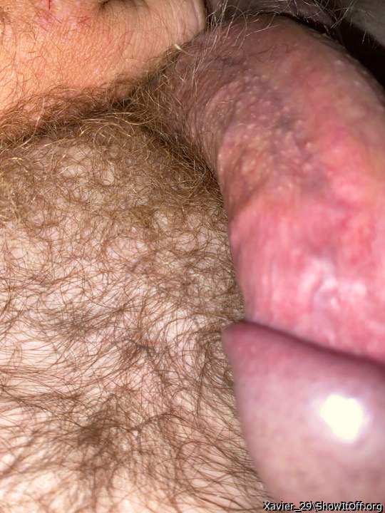 Adult image from Xavier_29