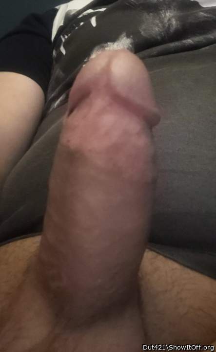 Adult image from Dut421