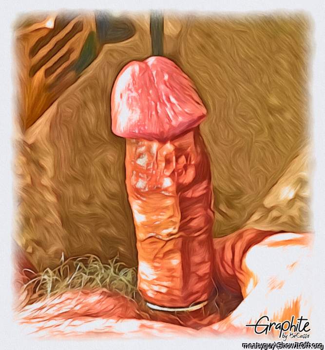 Beautiful cock art  