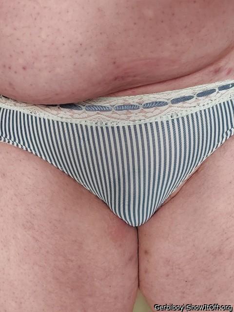 Adult image from Gerbiboy