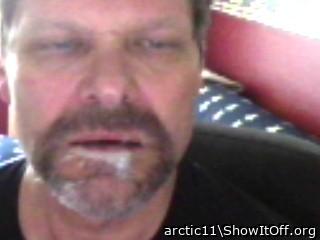 Adult image from arctic11