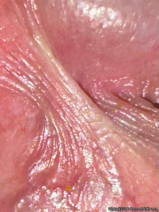 Detailed Frenulum Close-Up