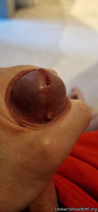 Adult image from Utoker