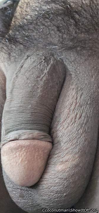 Adult image from Ccoconutman