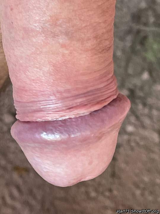 Adult image from ajan71