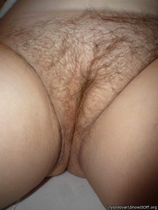 Hairy pussy