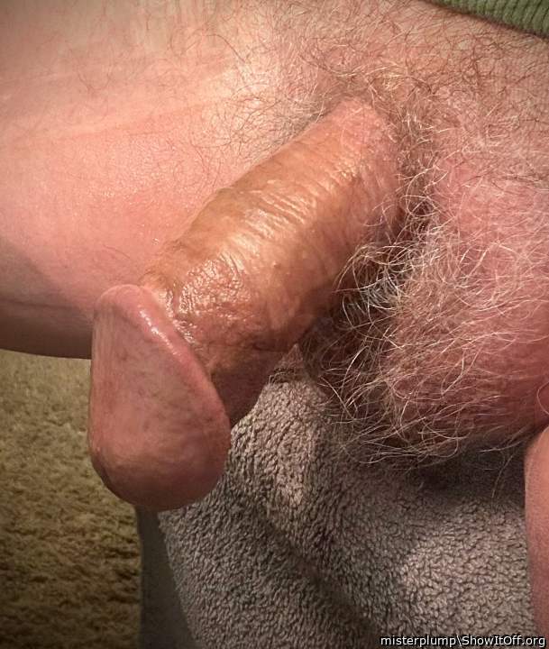 Adult image from misterplump