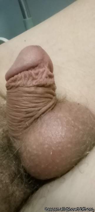 Adult image from itssosmall