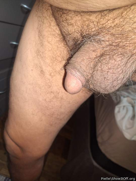 Adult image from Pielle