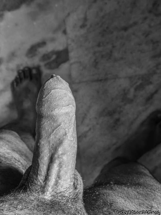 Adult image from rucby4